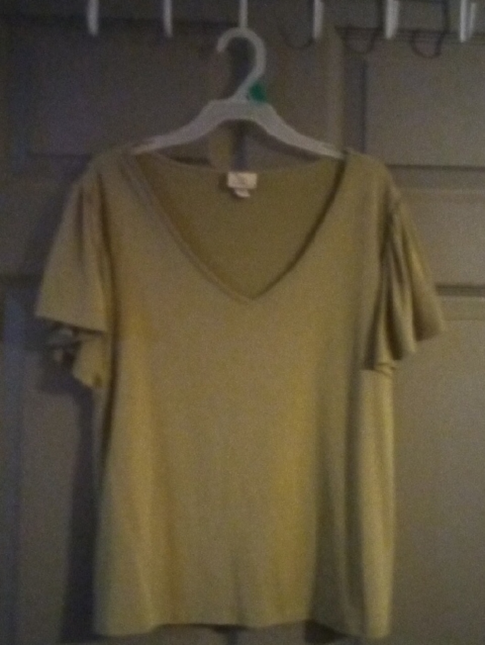 Women's V-Neck Short Sleeve Top in Olive